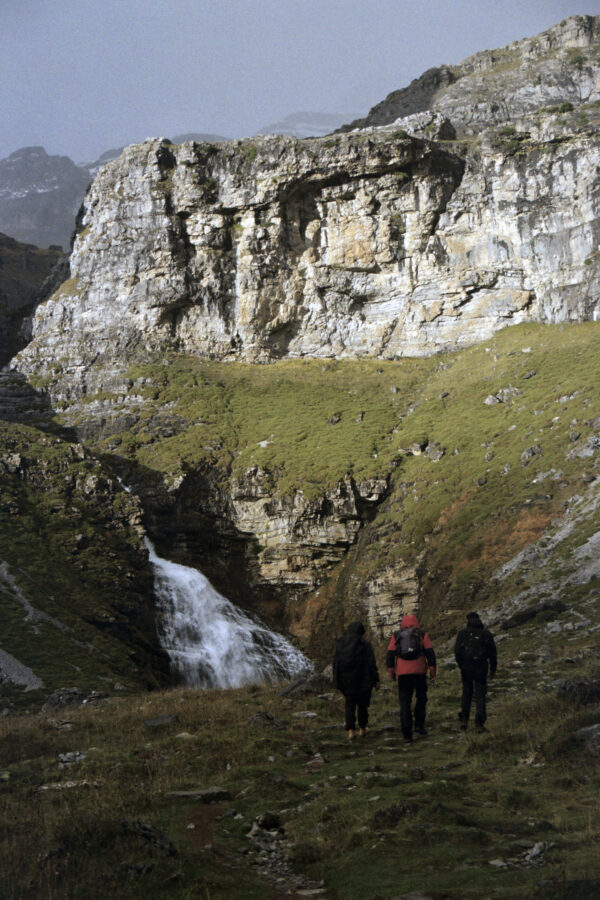 CRESEN GOLD 0986 29 600x900